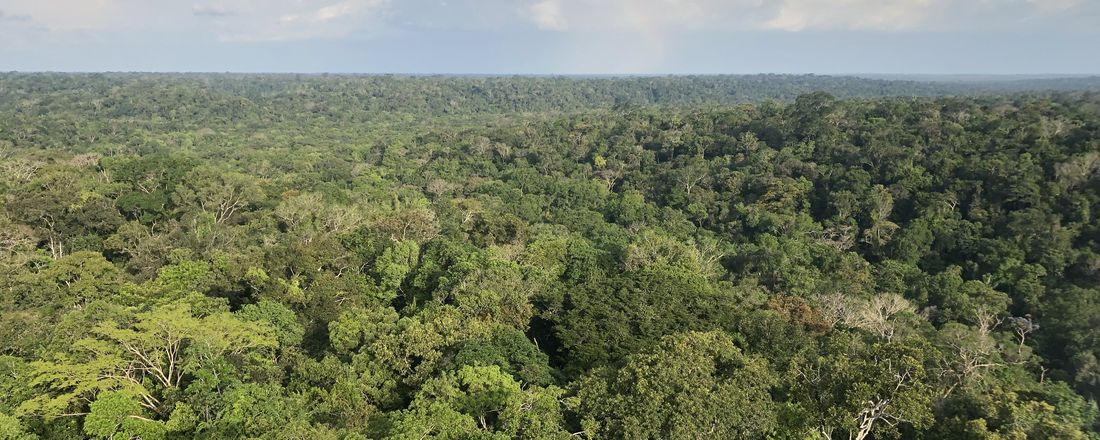 A Ciência Florestal no contexto Amazônico