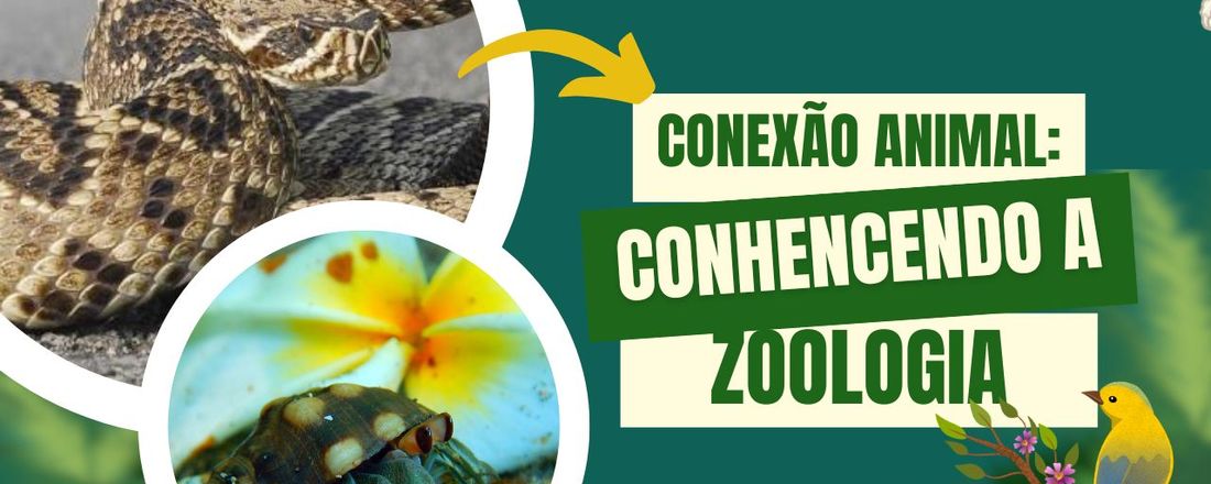 Conexão animal: Conhecendo a zoologia