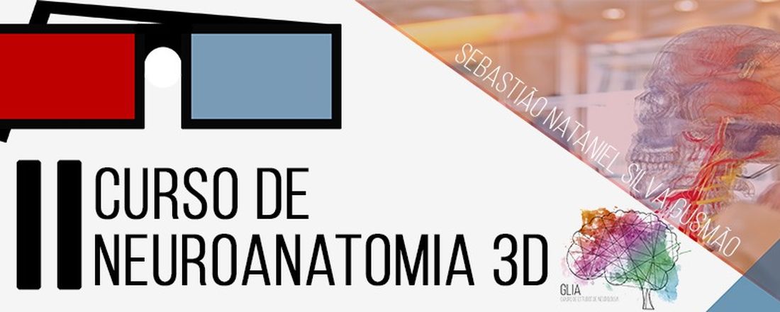 II Curso de Neuroanatomia 3D