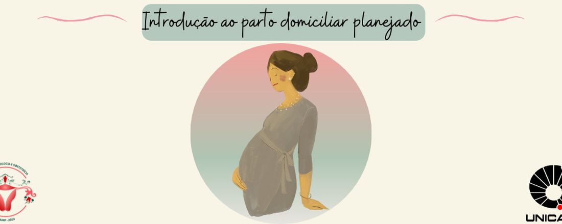 Introdução Ao Parto Domiciliar Planejado 