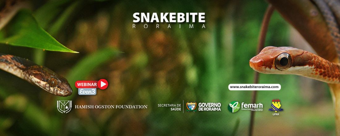 Cobras corais: explorando a peçonha e o tratamento