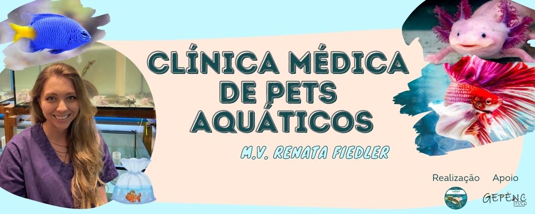 Clínica Médica de Pets Aquáticos