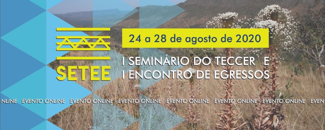 I SETEE (Seminário do Programa de Pós-Graduação em Territórios e Expressões Culturais no Cerrado (TECCER) da Universidade Estadual de Goiás (UEG))