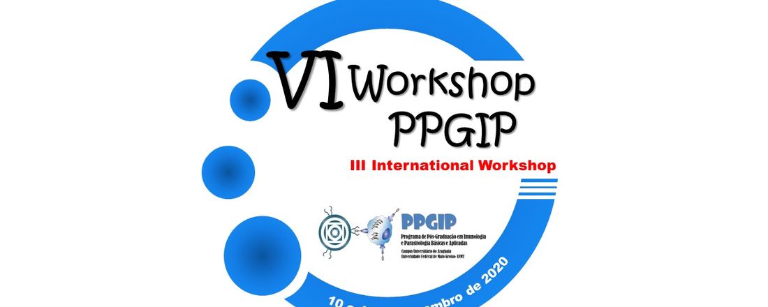 VI Workshop PPGIP e III International Workshop