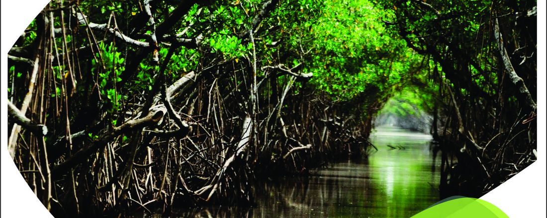 Desafios do óleo: a vida do mangue ainda é possível?