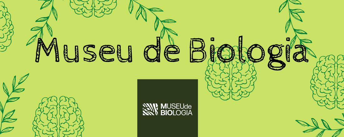 Visitas museu de Biologia