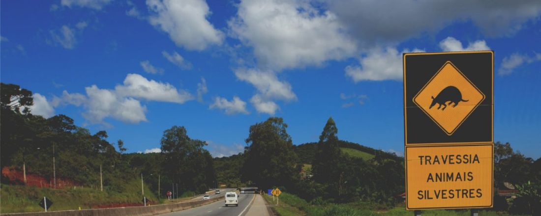 Impactos Ambientais nas Estradas Brasileiras