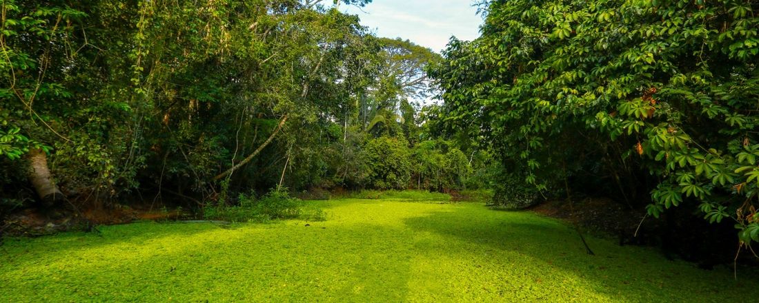 "5ª Edição do Encontro de Gestores de Áreas Naturais Protegidas do Acre e 1º Encontro Internacional de Gestores de Áreas Protegidas de la Amazonia Sur"     5° Encuentro de Gestores de Áreas Naturales Protegidas de Acre el 1° Encuentro Internacional de Gestores de Áreas Protegidas