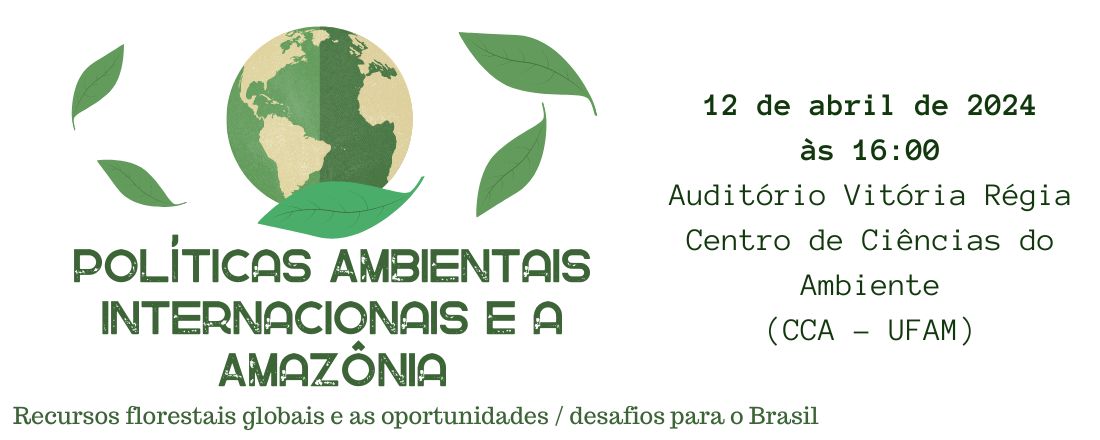 Políticas Ambientais Internacionais e a Amazônia: recursos florestais globais e as oportunidades / desafios para o Brasil