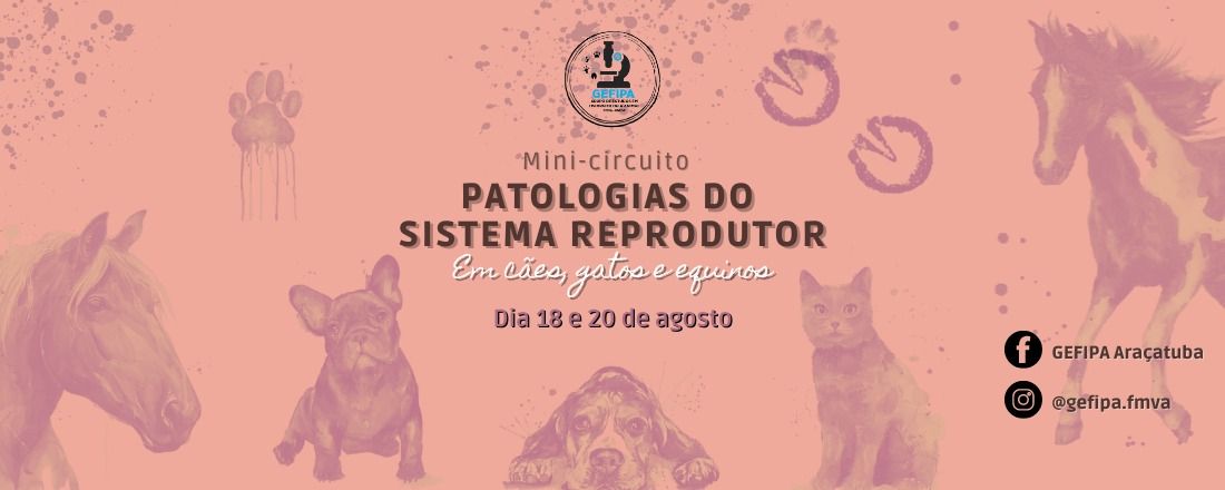 Mini-circuito: Patologias do Sistema Reprodutor em cães, gatos e equinos