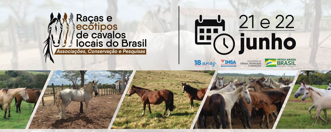 Raças e Ecótipos de Cavalos Locais do Brasil: Associações, Conservação e Pesquisas