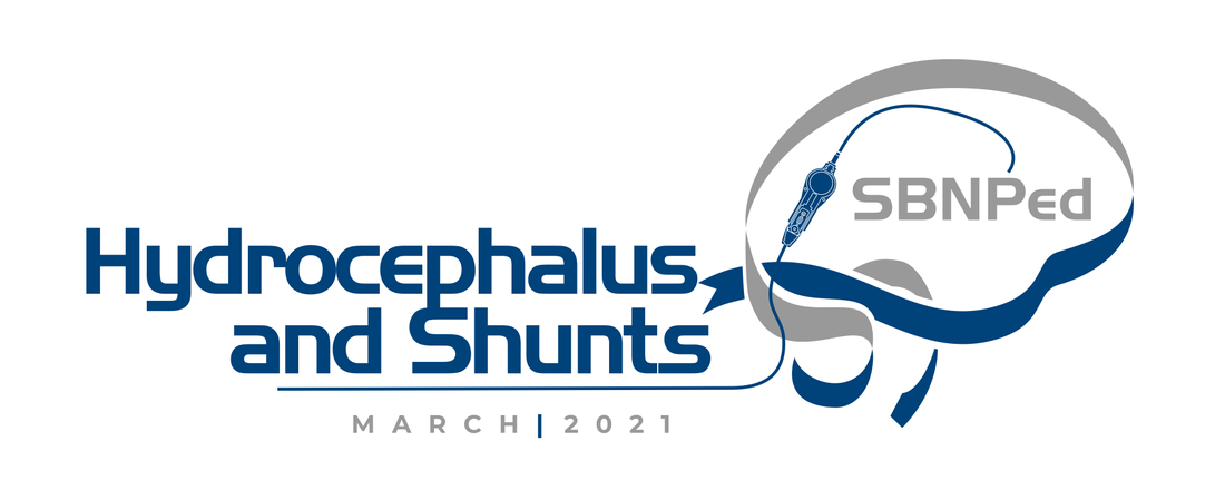 SBNPed Hydrocephalus 2021: An Interactive Web Symposium